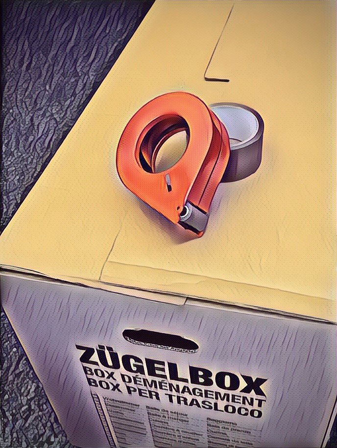 Zügelbox