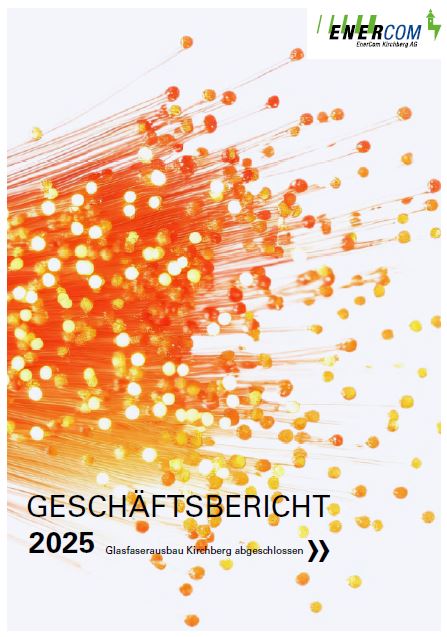 Geschäftsbericht 2025